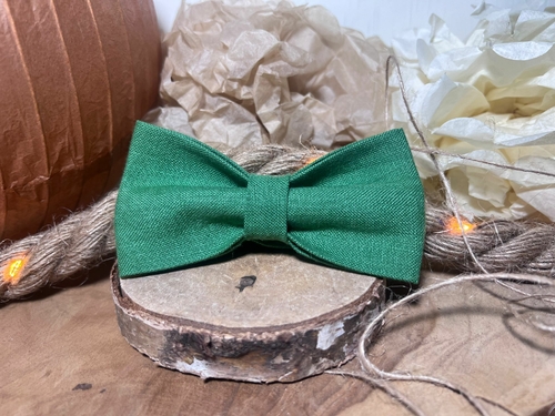 Nœud papillon vert